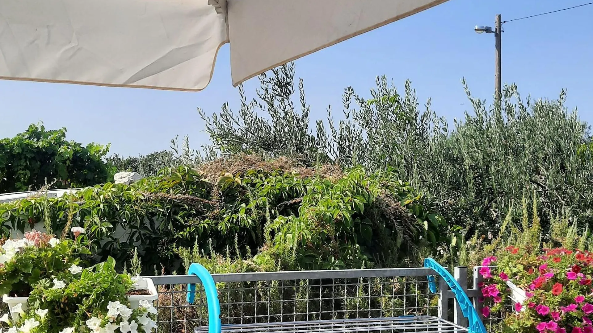 Studio Apartman Mare